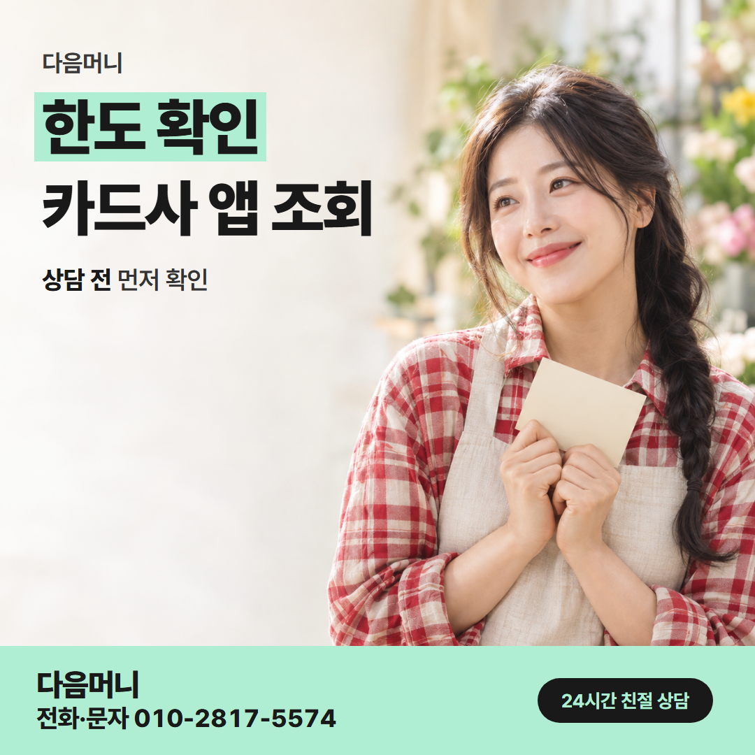 다음머니 제주카드깡 한도 확인